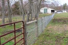 Pasture Fencing for Small Farm in New Castle County