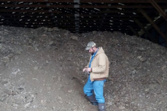 Taking a manure sample for nutrient management planning in Kent County