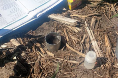 Soil Health Evaluation in Kent County