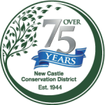 NCCD 75+