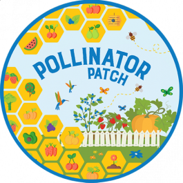 pollinator patch