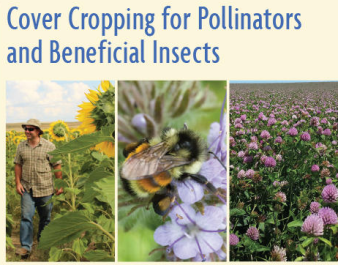 SARE Pollinator Bulletin