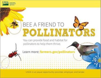 Bee a Friend to Pollinators
